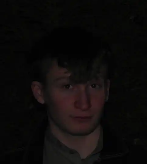 Ludwig